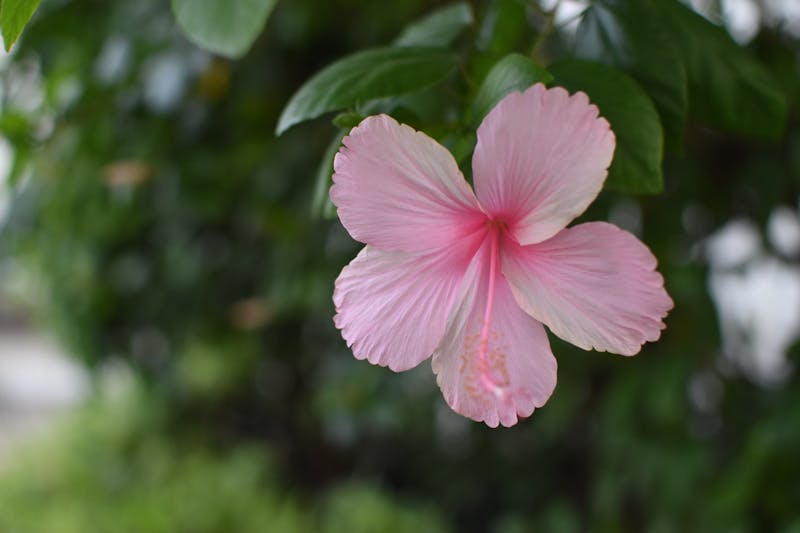 Warm and vibrant dining area of Costa Vida restaurant